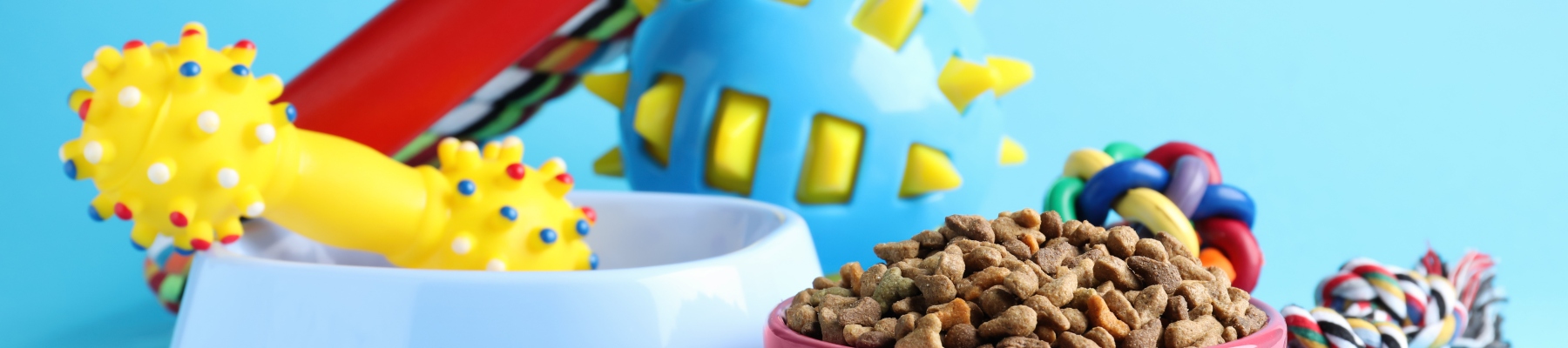 Comida y accesorios de perro
