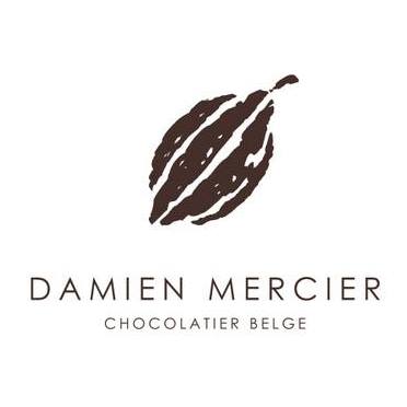 Logo Damien Mercier