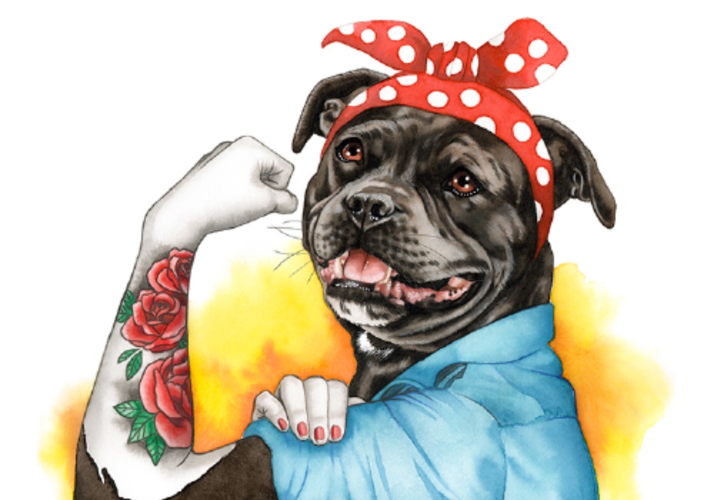 perrito pintado con estilo pin up