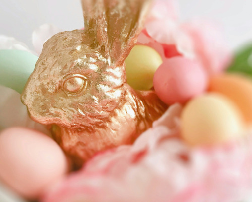 Conejo de chocolate con huevitos de colores