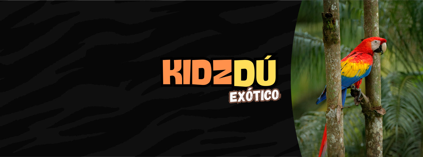 Banner Kidzdu