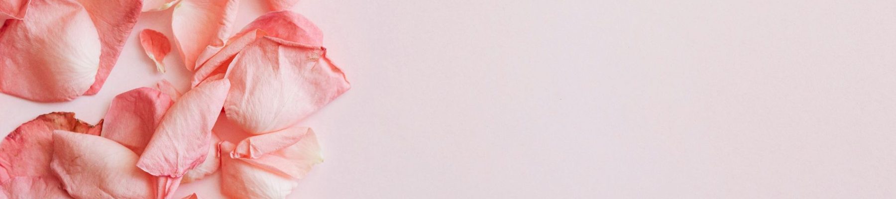 Pétalos de rosas